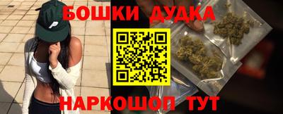 сатива Малгобек