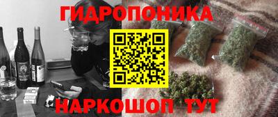 сатива Малгобек