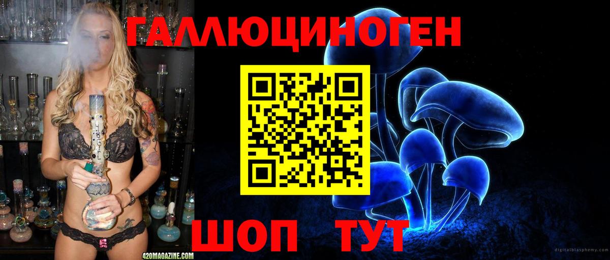 хочу   Галлюциногенные грибы Psilocybe  Вход с VPN  Урюпинск 